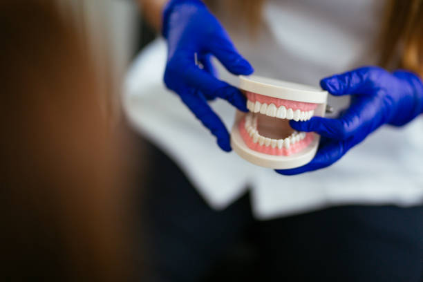 Professional Holistic Dental Care Services in Maitland, FL